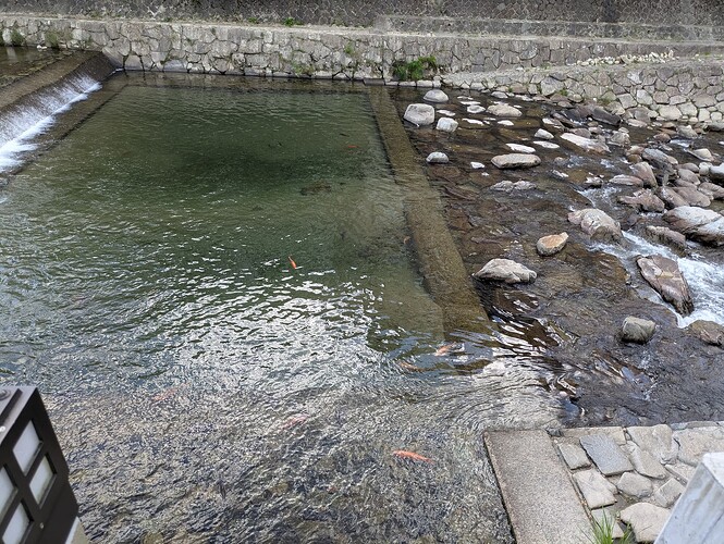 河水很清,有很多鱼。
