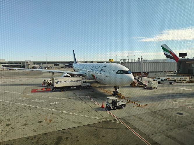 TP238: A330neo