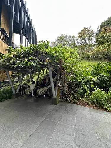 5B12FE84-9F71-41F3-A55B-00833ED84D5F_1_105_c