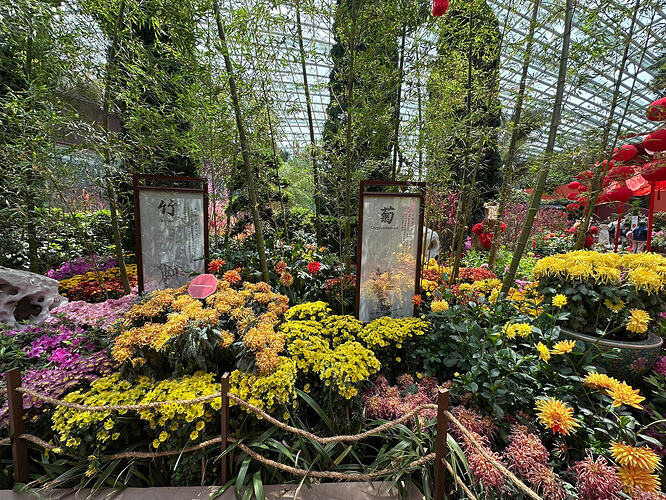 5A2EDC15-E30D-46E1-9708-7C766DA84042_1_102_o