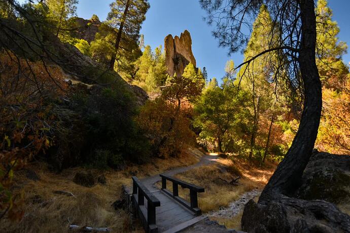 mmexport1721329464989