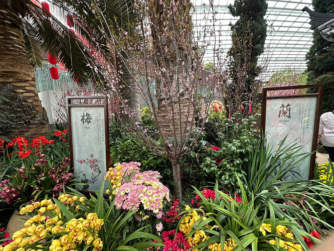 F3A2A308-201C-4D10-9EF3-AE5FB870B6D1_1_102_o