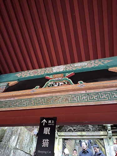 12E01410-EAAD-4ACB-98B9-E6237A1C58F0_1_105_c