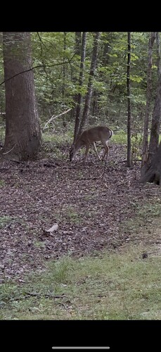 Picsew_20250428194254