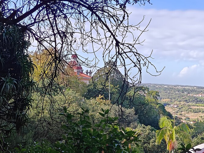 Montserrate Palace from afar