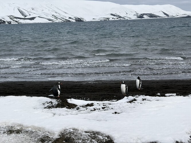 F857F885-0539-42C5-94F2-85495A1C9769_1_105_c