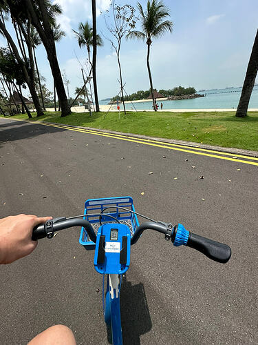 1DC540CC-891F-4244-8A0C-A044A10CBDCE_1_102_o