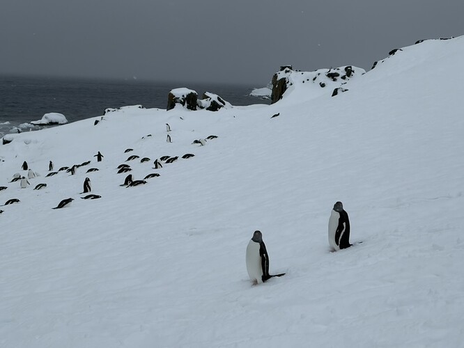 56BED519-4935-43B1-9128-D6D4DE93572A_1_105_c