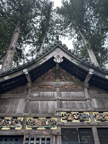 30F6B0DA-1914-4EEF-BB1A-9411D8852C73_1_105_c