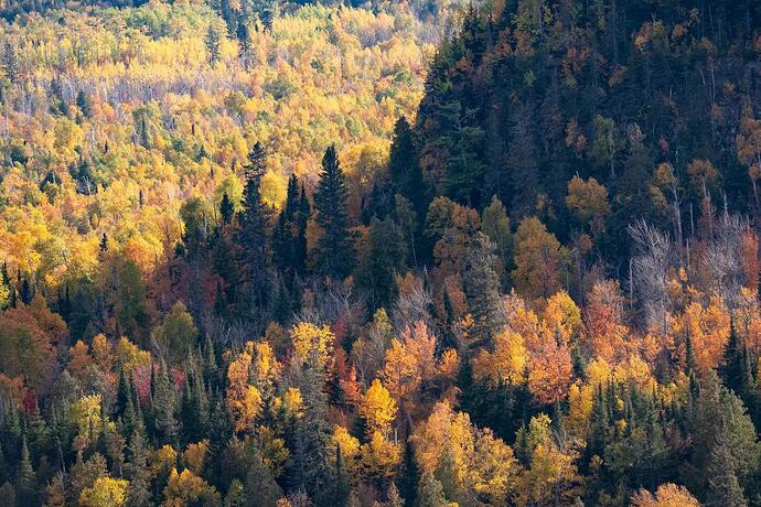 mmexport1726862736025