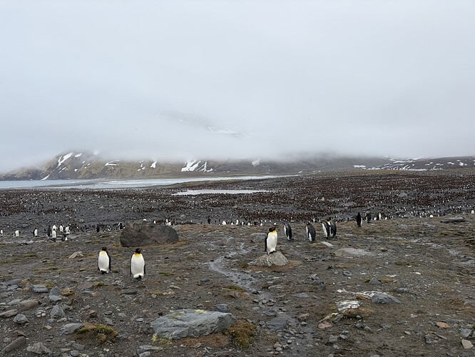 73F30D4F-79C2-45FA-AC1B-D797D7FC82E8_1_105_c