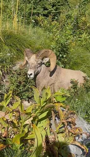 8a03c2289c4e8a612234b9646d1f2608