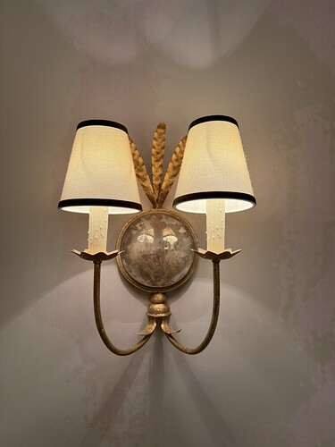 E0A28CB1-05CD-4CF7-961D-14DB7AC20734_1_105_c