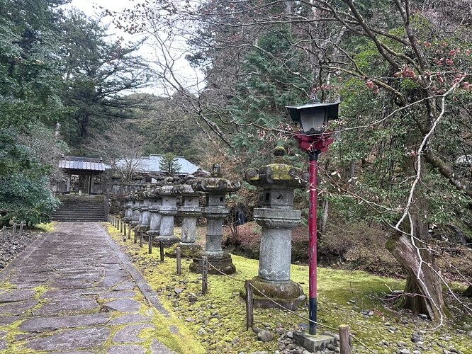 25F75BAE-2C25-4452-8BC1-976484DE9235_1_105_c