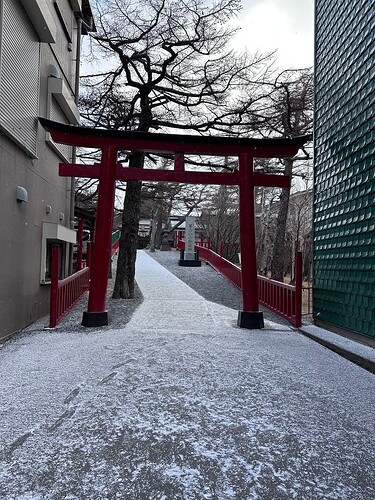 EA181BE5-53D5-441F-9772-83ADED0A08F1_1_105_c