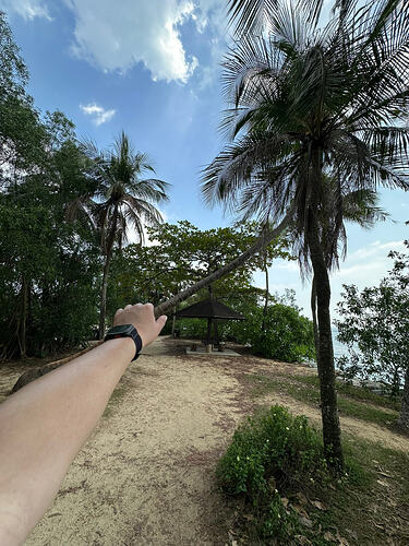 C6767E36-3122-4042-8BD1-0C0365C6AA5A_1_102_o