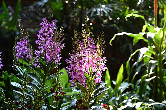 DSC_2820