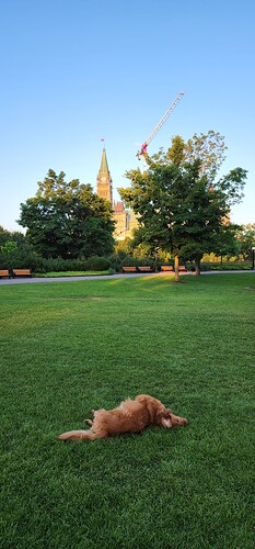 20220710_060221