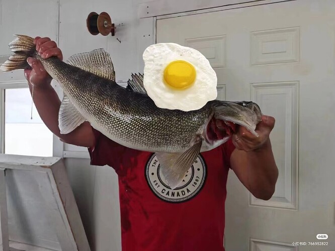 Camera_XHS_17272167146971000g00825dfejeafk06g5nqqqb8g8e2cmt6jbog