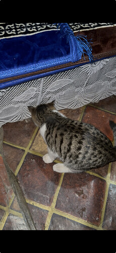 View recent photos 4