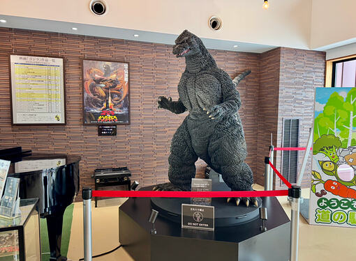 View recent photos 5