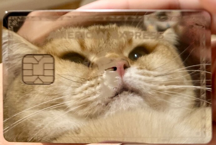 Screenshot 2025-10-03 at 10.10.02 PM