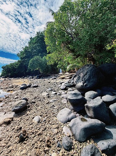 Photo Jul 27 2025, 05 24 55 (20) (1)