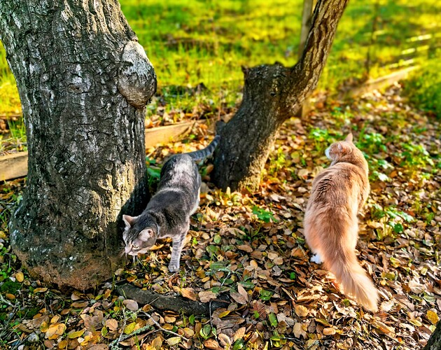 18aacd99f4b90d89177486141cb22066