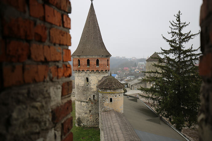 IMG8551