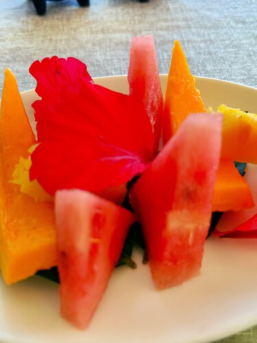 Photo Jul 27 2025, 05 24 55 (9)