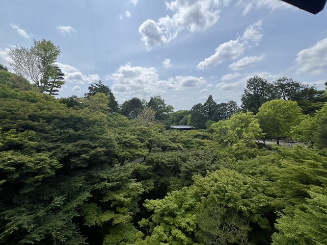 C3B83B7F-2658-44B3-9AD8-00F83FB30F68_1_105_c
