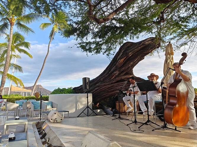 Live Performance, HWAK