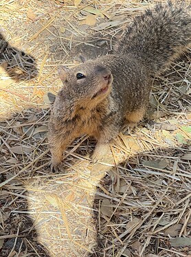 Screenshot 2024-07-30 at 2.09.59 PM