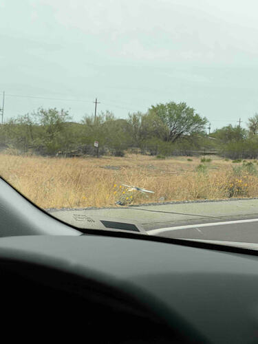 windshieldcrak
