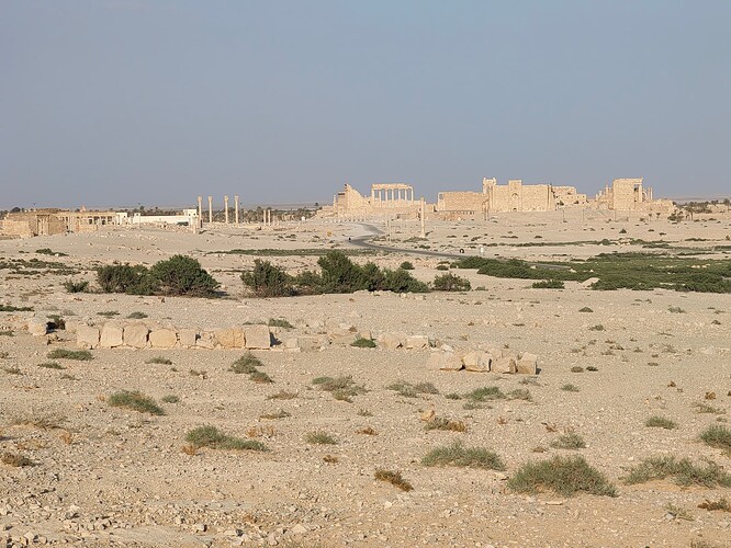 Palmyra 1