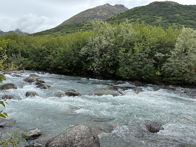 AC5EE344-5C65-4F67-BFA3-09D7501AC52A