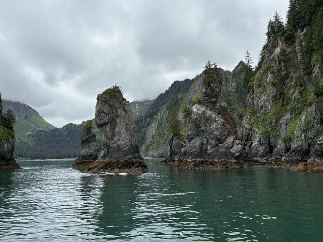 6A3F7606-0BB0-40D5-97B2-A6CF6311B6CD