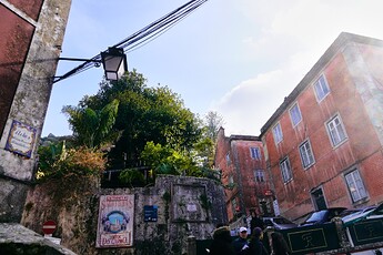 DSC03226
