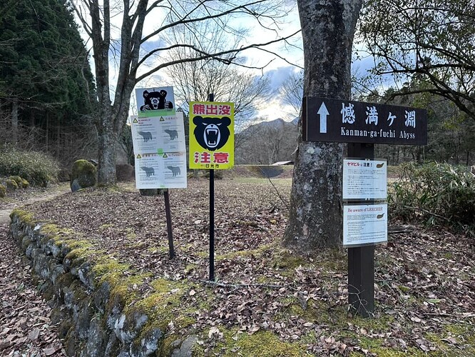 4D734816-5F20-4512-BD14-985F9EC9F904_1_105_c