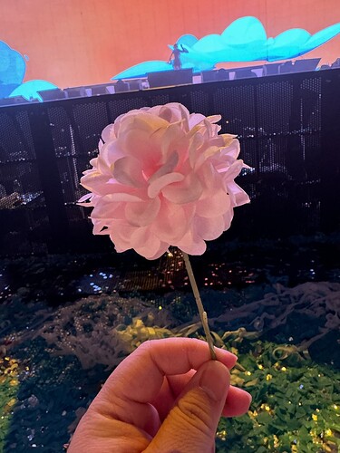 C0FC2BC3-8DE2-43EB-924D-720727D2B79E_1_105_c