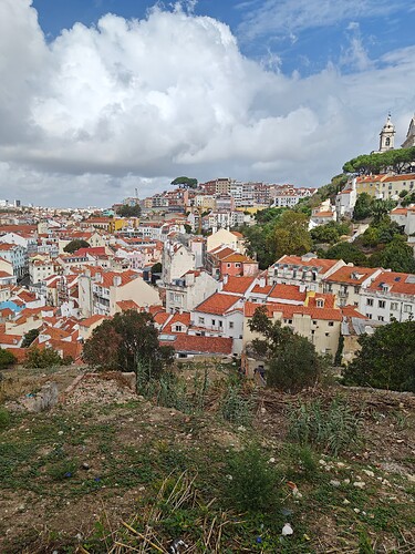 Lisbon View