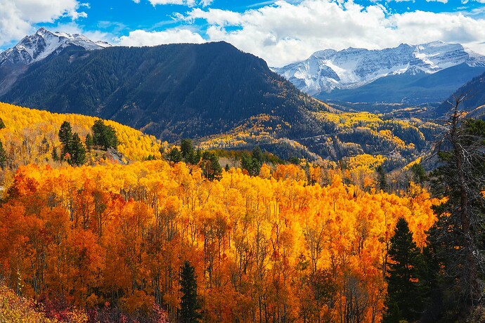 Ophir到Telluride中的風景