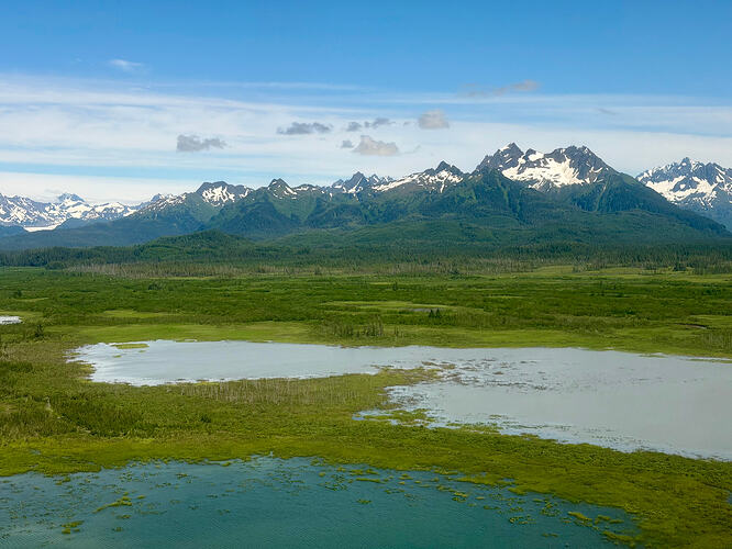 Government Slough 湿地、湖泊与雪山