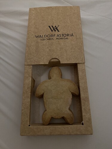 turtle cookie