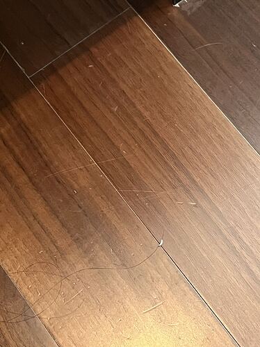 WeChat Image_20240825223530