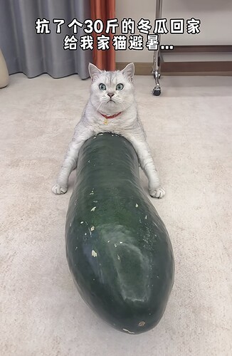 1000045755