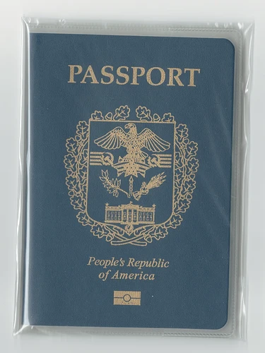 some-passports-from-another-world-v0-obpgnevv9mgf1