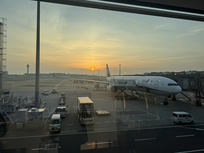 33050F08-8F05-4D8E-B728-DE6DC1B45BF3_1_105_c