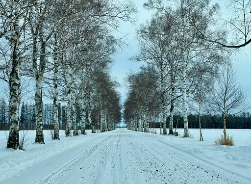 View recent photos 6