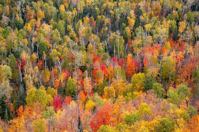 mmexport1726862715664